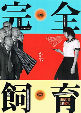 特殊的房租